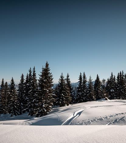 patrick-schwienbacher-rosskopf-winter-17